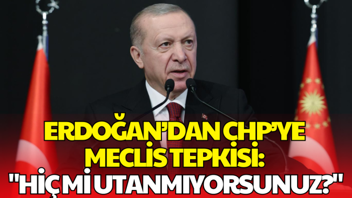 Erdoğan’dan Meclis’teki Kavga İçin Sert Sözler: Meclis'e Terör Estirmeye mi Geldiniz?
